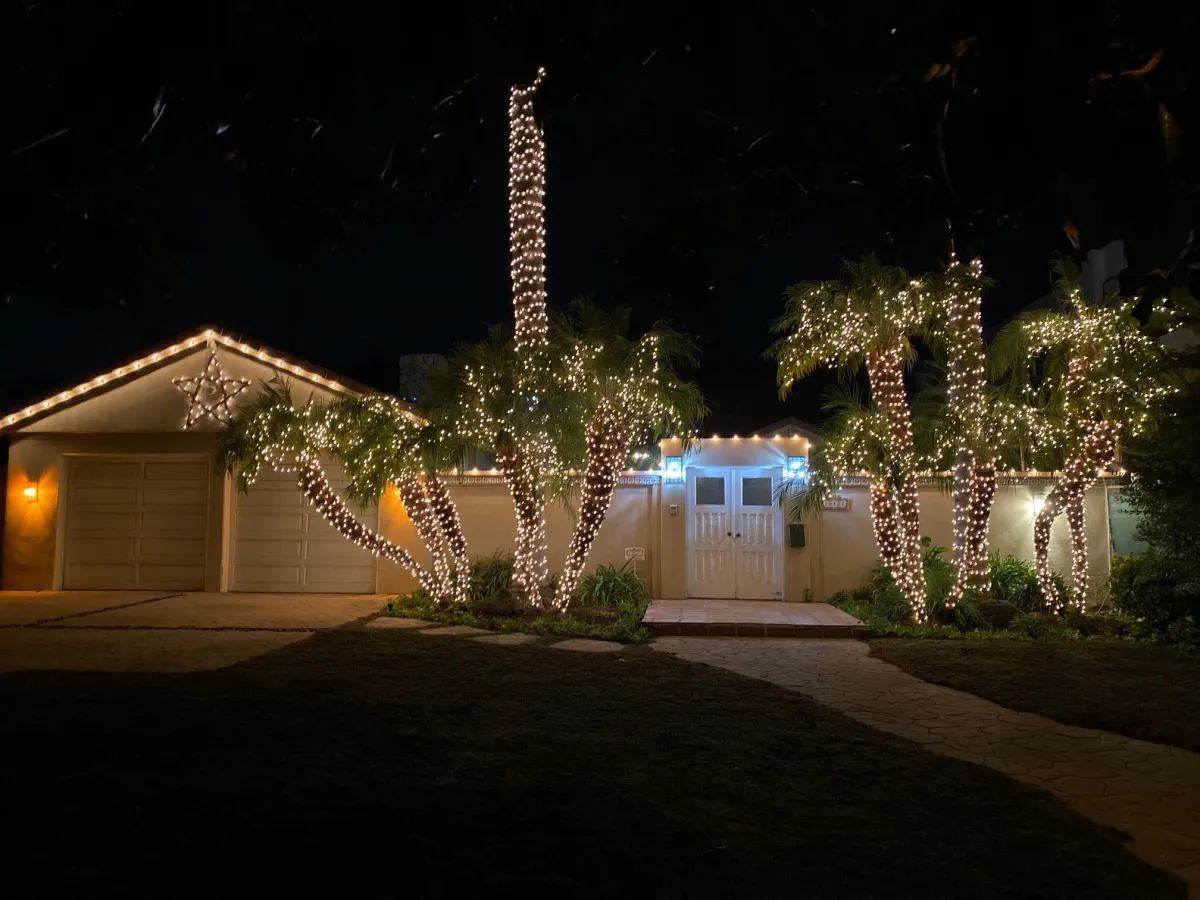 Warm‑white palm wraps and roofline supporting example